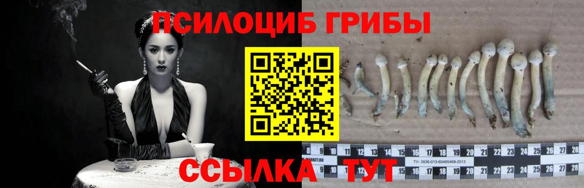 купить  сайты  Галлюциногенные грибы прущие грибы  Вход с VPN  Псилоцибиновые грибы мухоморы  Кемерово 